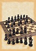 Richard the Lionheart Hand Decorated Theme Chess Set